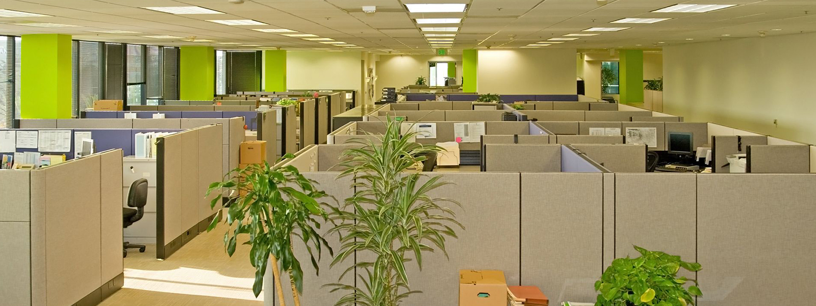 Chalamani Interiors Chalamani Interiors